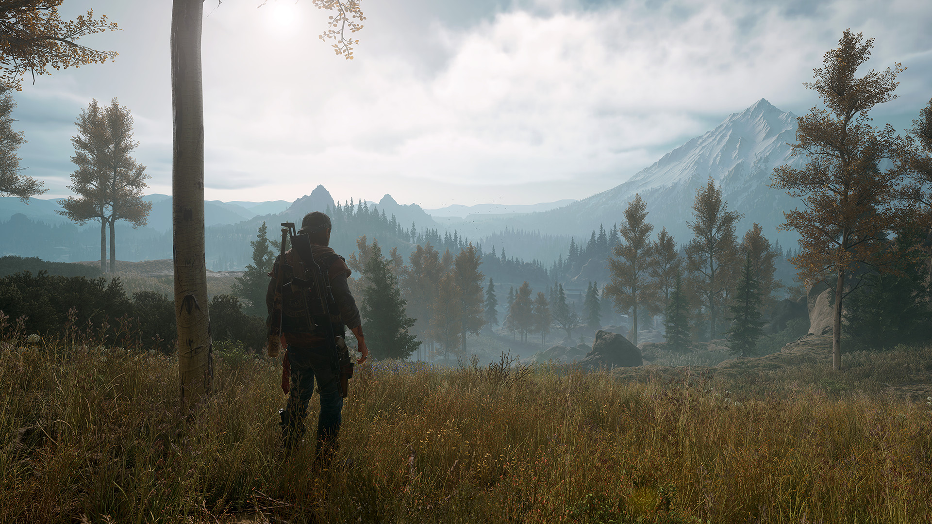 A survivor looking out over a forested mountain valley